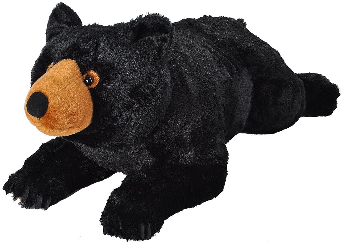 Ours en peluche sale noir