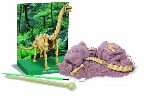 Brachiosaurus excavation kit