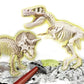 Archéo-ludic T-Rex & Tricératops