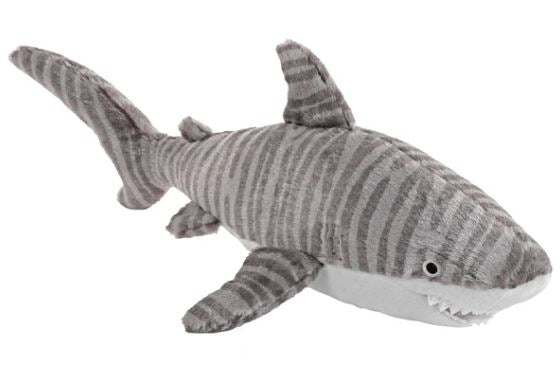 Tigre requin Eco