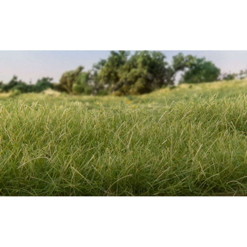 Herbe électrostatique 12mm - Vert fonçé Woodland Scenics