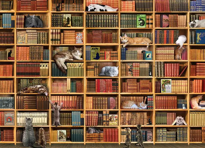 Cat library 1000 pieces