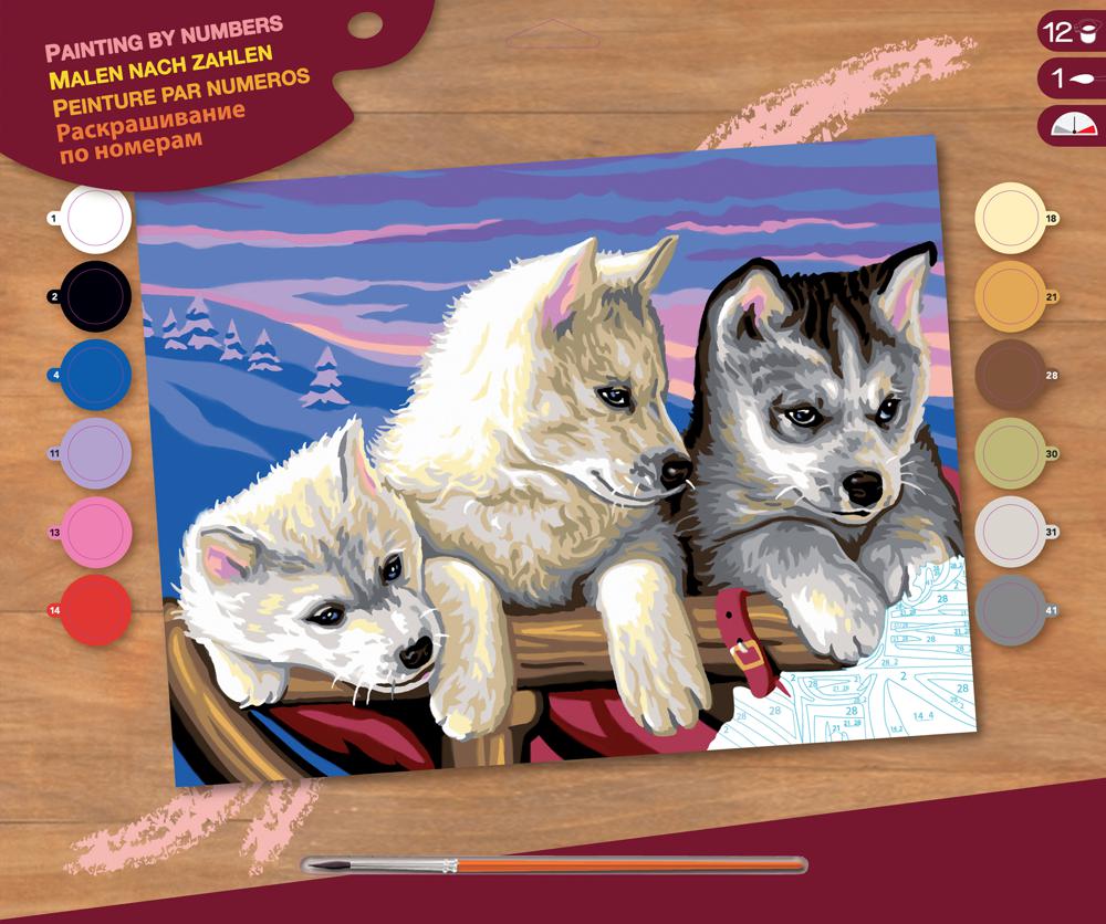 Peinture à numéros senior - Huskies