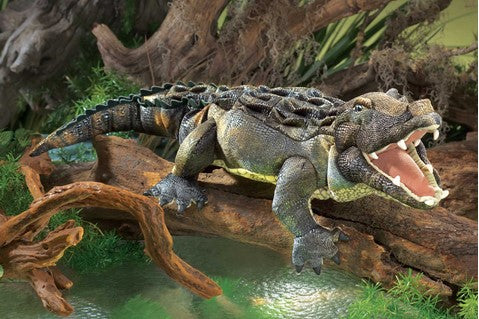 Marionnette Alligator Américain