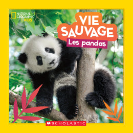 National Geographic Kids: Vie sauvage : Les pandas Scholastic
