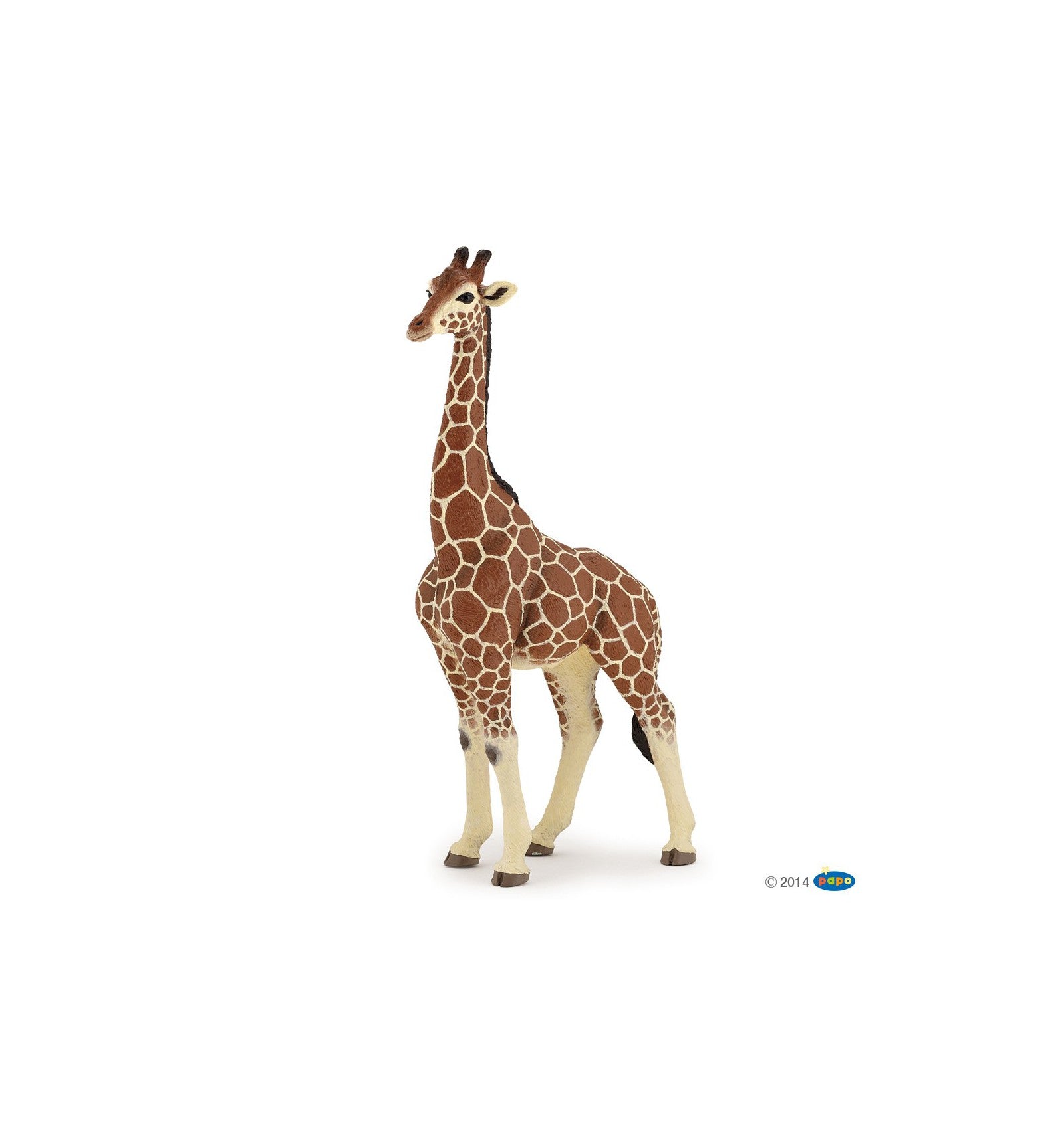 Girafe Male
