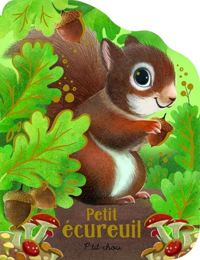 Petit écureuil - P'tit chou