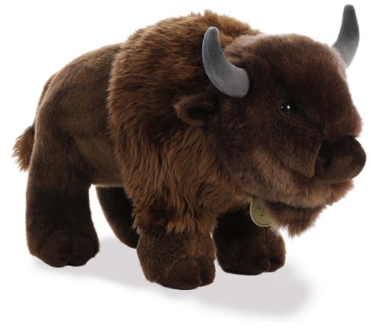 Bison