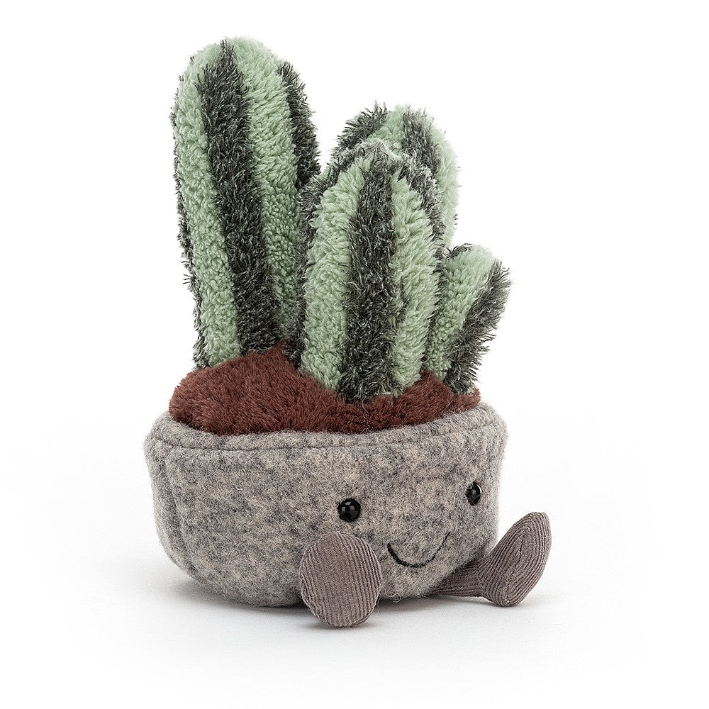 Cactus - 6"