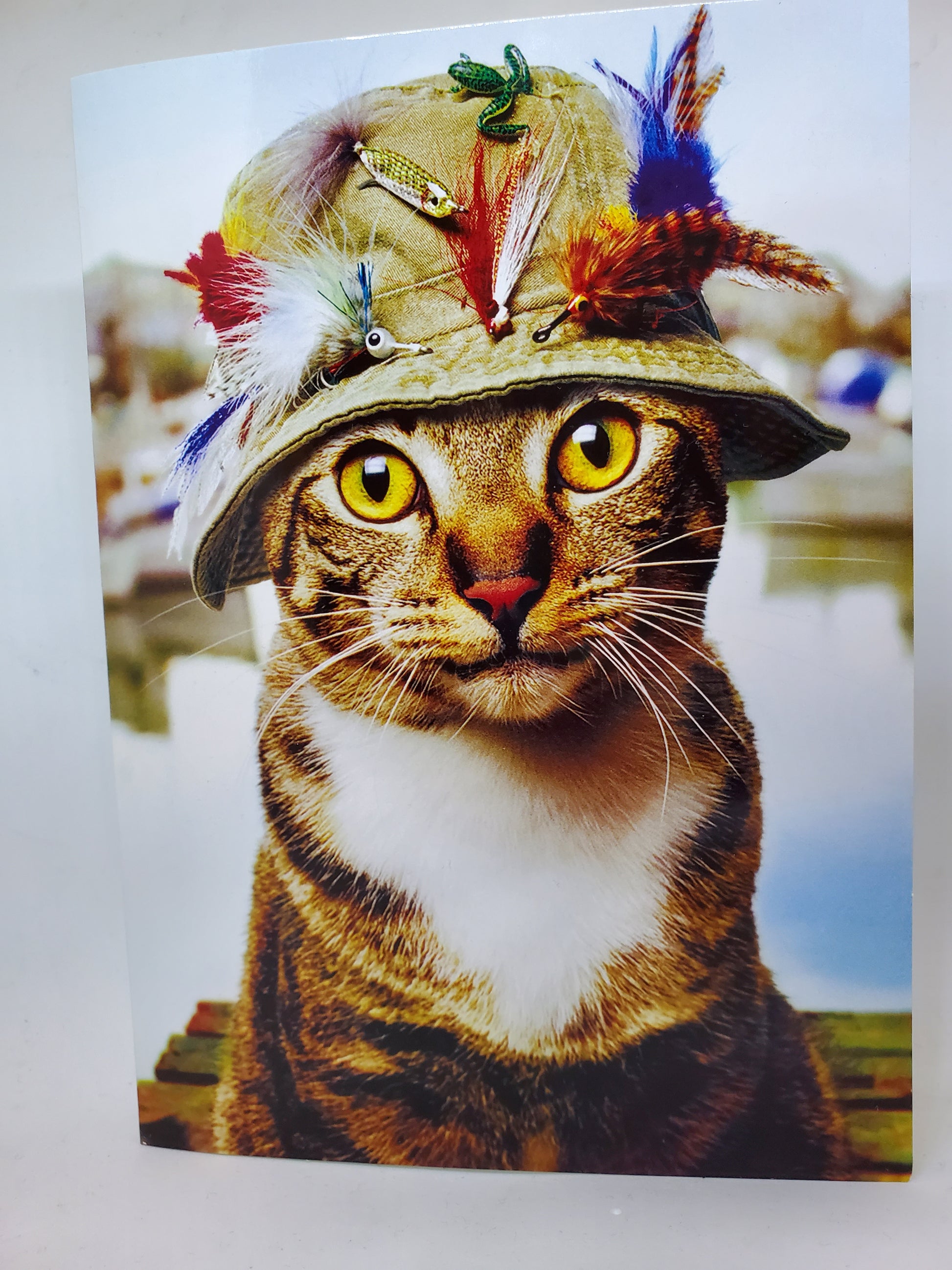 Carte de souhait chat portant un chapeau de pêcheur