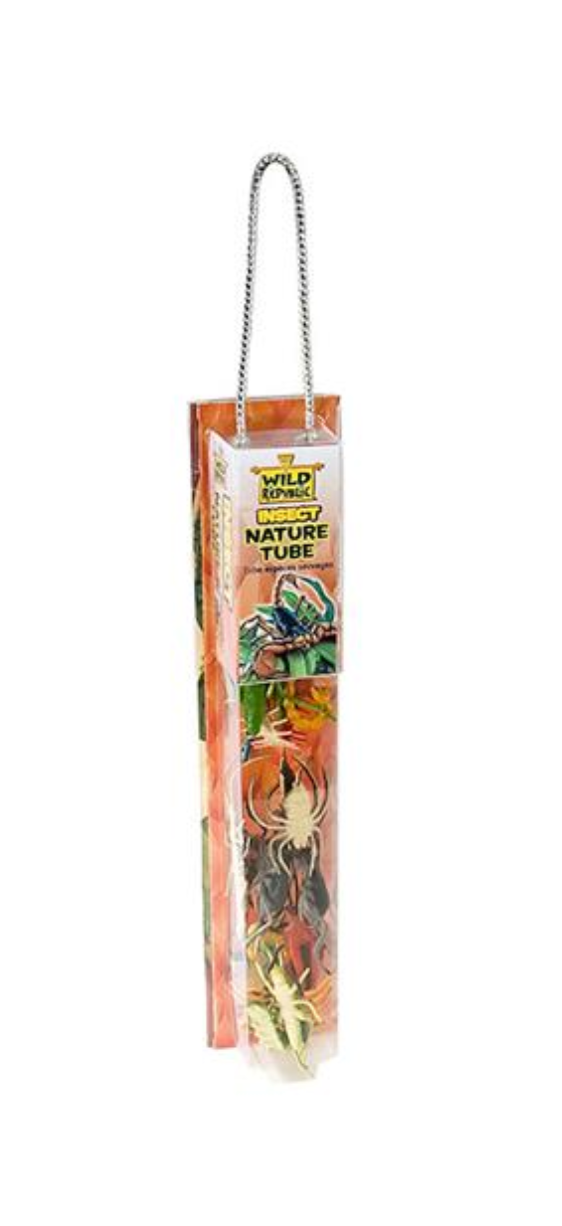 Nature tube Insectes