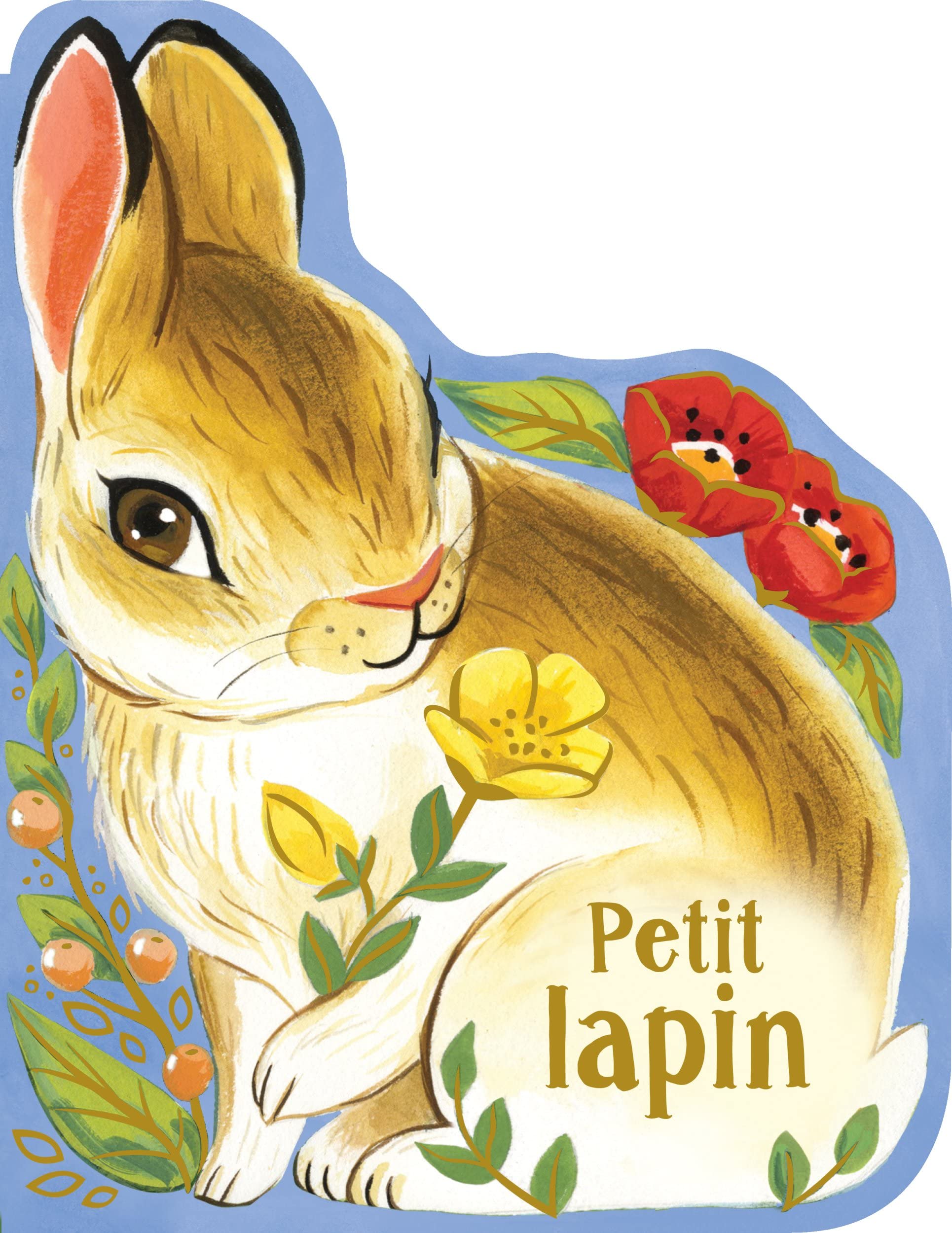 Petit lapin (tout carton)