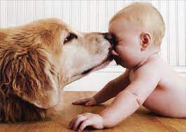 Carte de souhait chien et bébé