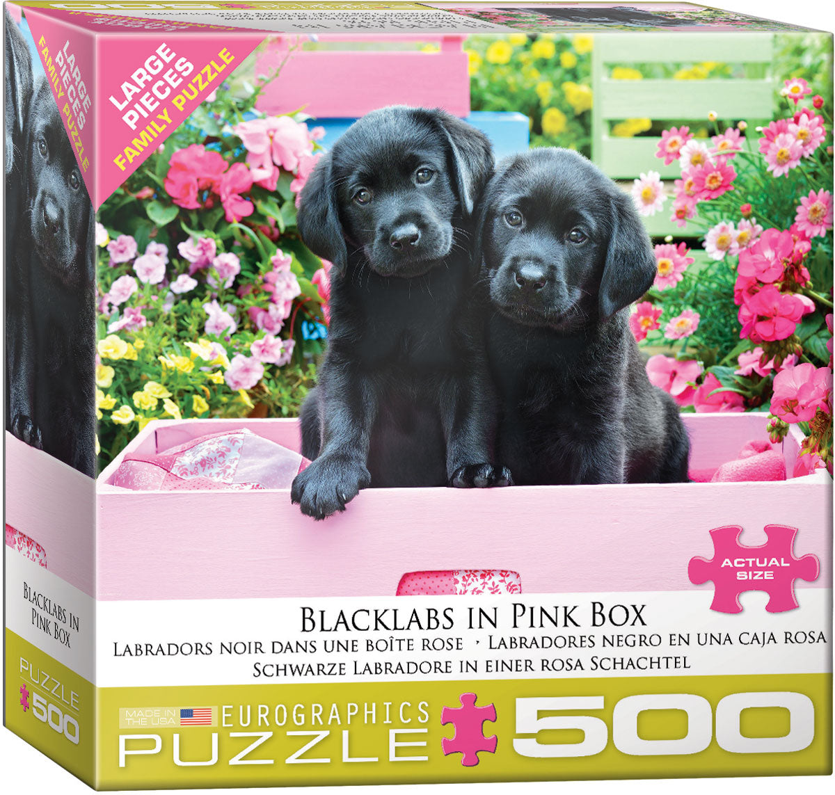 Labradors noirs dans une boîte rose