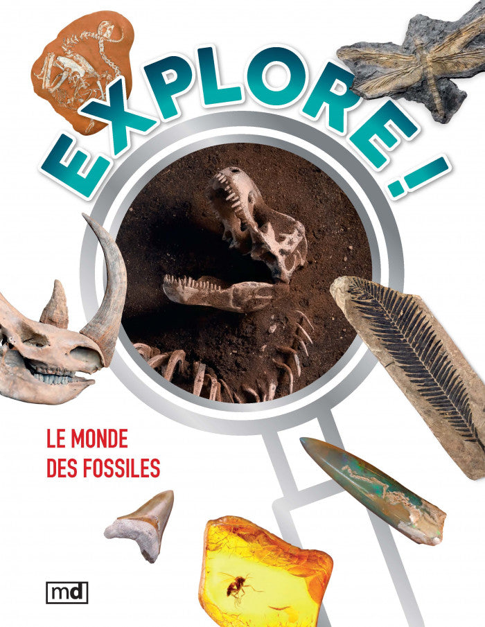 Explore! Le monde des fossiles